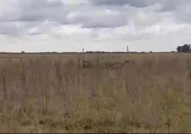 La firma damnificada denunció la desaparición de animales valuados en unos 60 millones de pesos y aportó pruebas sobre el posible traslado del ganado.