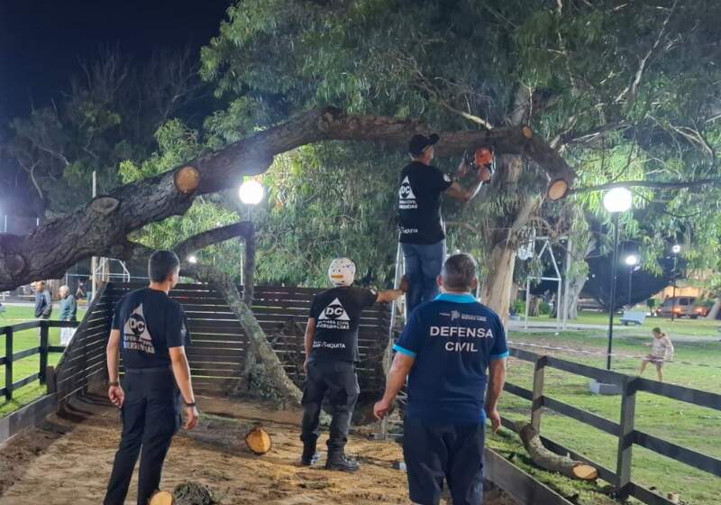 Cedió por la saturación del suelo durante la apertura de la Fiesta del Chocolate y el Alfajor. Defensa Civil y la Delegación Costa Norte trabajaron en el lugar. 
