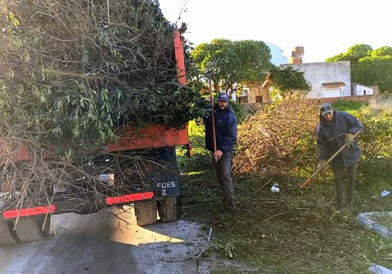 Las cuadrillas municipales llevaron adelante recolección de restos de poda, limpieza y cortes de césped durante la última semana.