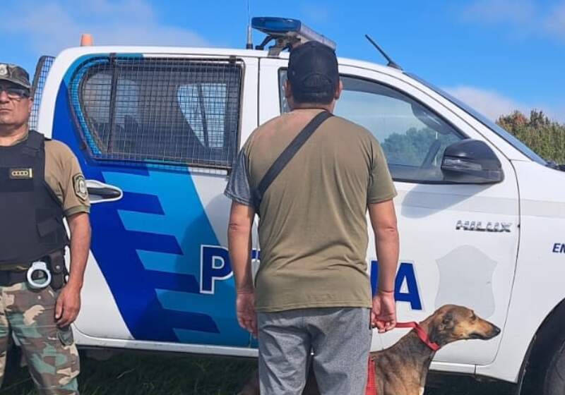 La Superintendencia Rural informó una infracción por el uso de un galgo dentro de un establecimiento del distrito.