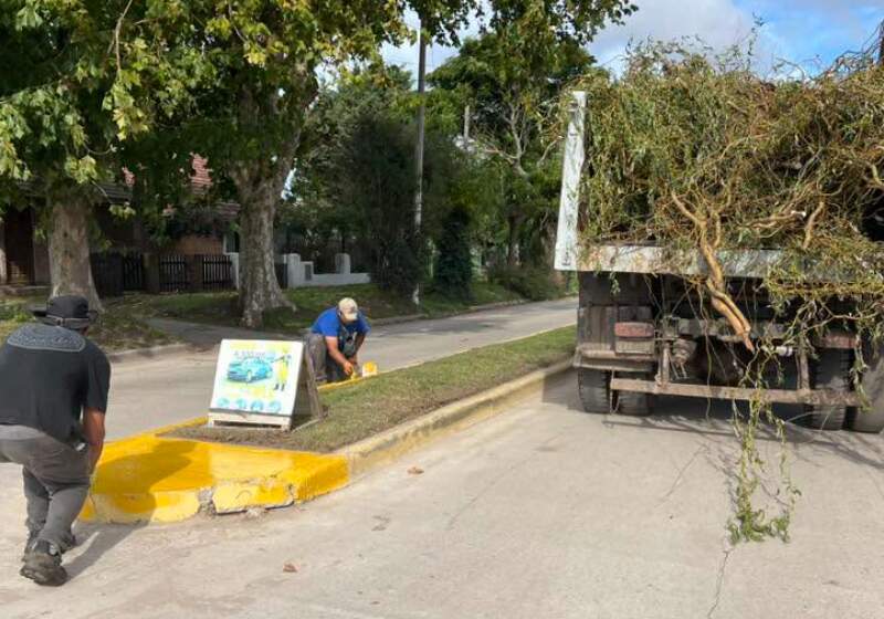 Las cuadrillas municipales detallaron tareas de mantenimiento, iluminación y pintura que se desarrollaron en distintos tramos de la avenida.