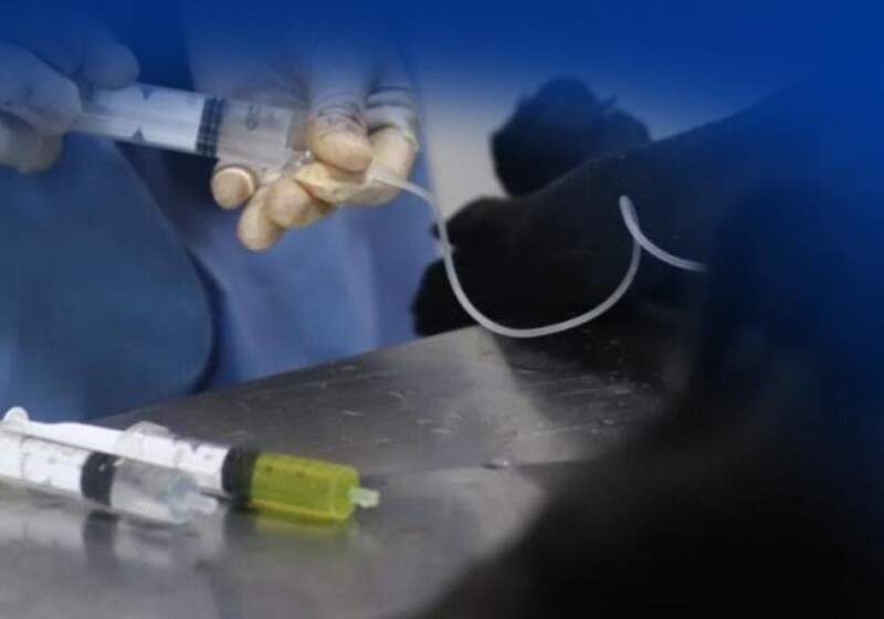 La Municipalidad de Mar Chiquita informó que los vecinos podrán solicitar turno previo en la Dirección de Higiene y Bromatología.