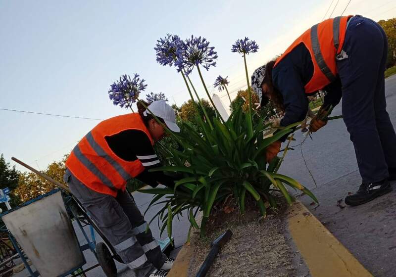 El grupo difundió imágenes de los trabajos de limpieza, mantenimiento y embellecimiento que desarrolló en distintos espacios públicos de la localidad.