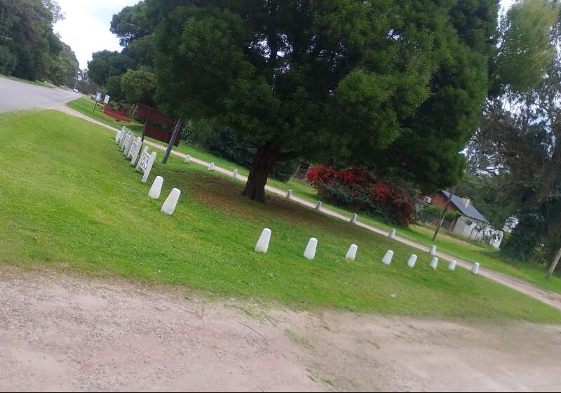 La Delegación Santa Clara desarrolló trabajos en Plaza Las Rosas y distintos sectores con cortes de pasto y recolección de restos de poda.