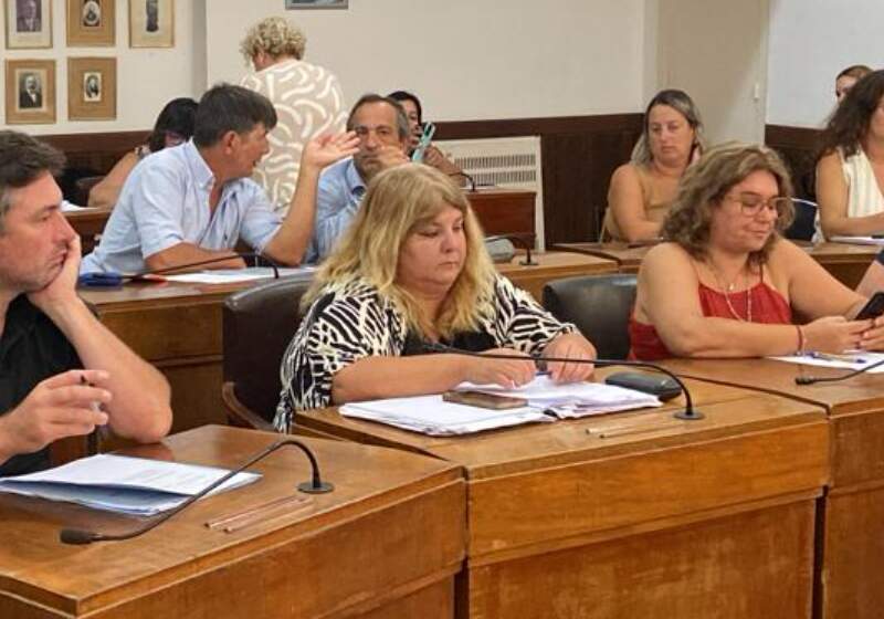 La concejal de Consolidación Argentina impulsa un sistema de geolocalización, control de combustible y reportes trimestrales para transparentar el uso de la flota oficial.