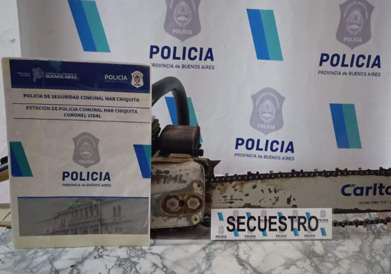 La policía actuó tras el aviso de un vecino y secuestró una motosierra; la Fiscalía de Responsabilidad Juvenil imputó a los jóvenes por hurto y violación de domicilio.
