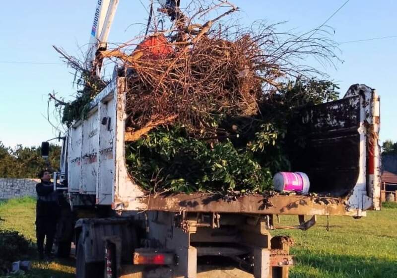  Las cuadrillas realizaron limpieza, recolección y corte de césped durante la última semana.