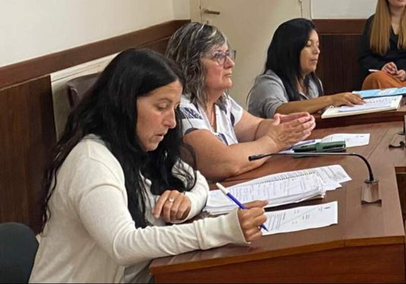 La concejal de Unidad y Acción expresó críticas sobre el orden institucional del HCD.
