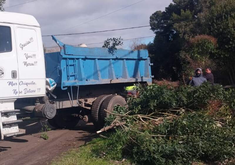 Se realizaron recolección de restos de poda, corte de pasto y limpieza de desagües en espacios públicos.
