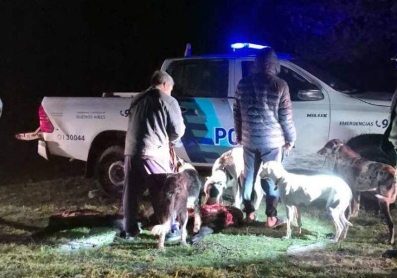 El hecho se dio a conocer este viernes tras un operativo con apoyo del Comando de Patrulla Rural.