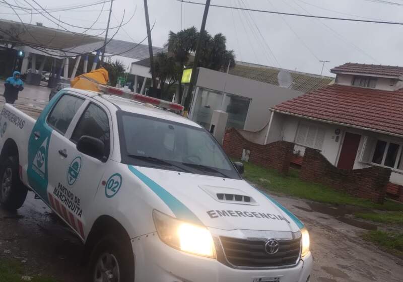 El incidente ocurrió en avenida Acapulco durante el alerta amarillo por vientos intensos emitido por el SMN.