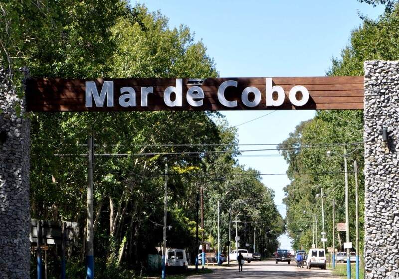 El Concejo Deliberante tratará una nota que exige preservar el arbolado público y garantizar el cumplimiento de la normativa vigente.