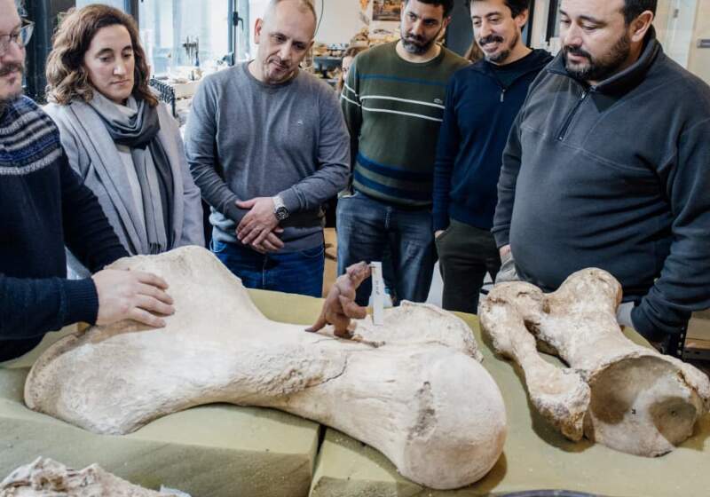 Las piezas fueron repatriadas desde el Museo Scaglia y se exhibirán en el Centro de Atención al Visitante de Balneario Parque Mar Chiquita.