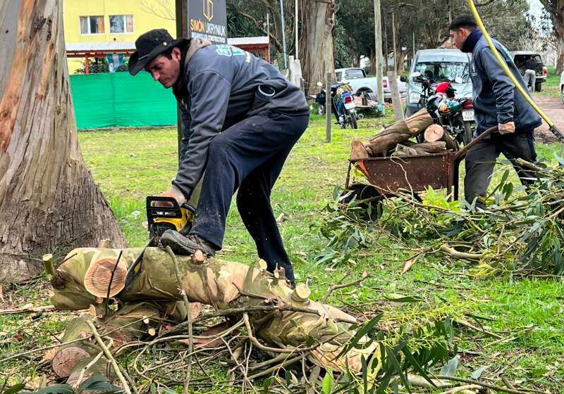 Las tareas se efectuaron en San Martín y Alte. Brown, con distribución gratuita y asistencia domiciliaria para vecinos sin movilidad.