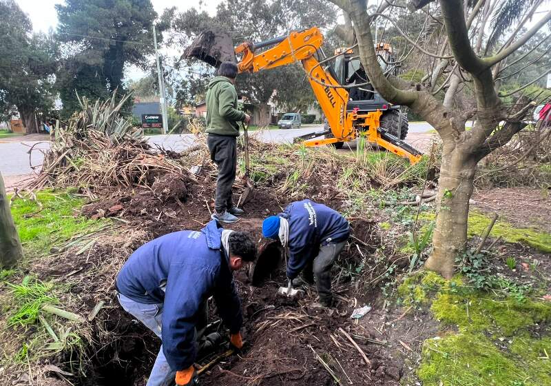Las cuadrillas a cargo de Fabián Jacquet efectuaron trabajos de poda y limpieza en los alrededores del camino vecinal para mejorar visión y seguridad de automovilistas.