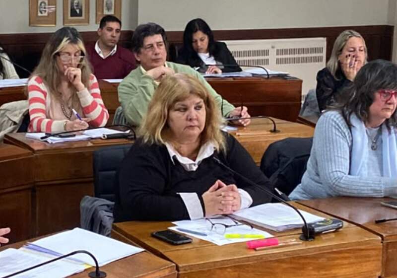 El espacio político representado por Patricia Heltner, logró la aprobación unánime del proyecto de ordenanza.