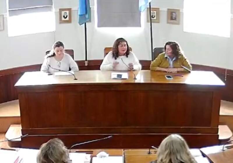 La secretaria de Economía expuso ante la comisión del Concejo Deliberante, donde detalló el impacto favorable de los planes de pago.