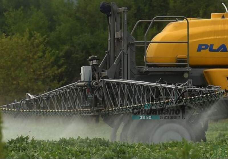 Alertan que se debe al uso de agroquímicos en la zona y que esto conlleva un riesgo para la salud. Si no cambian los modelos productivos esta situación "va a empeorar", aseguran
