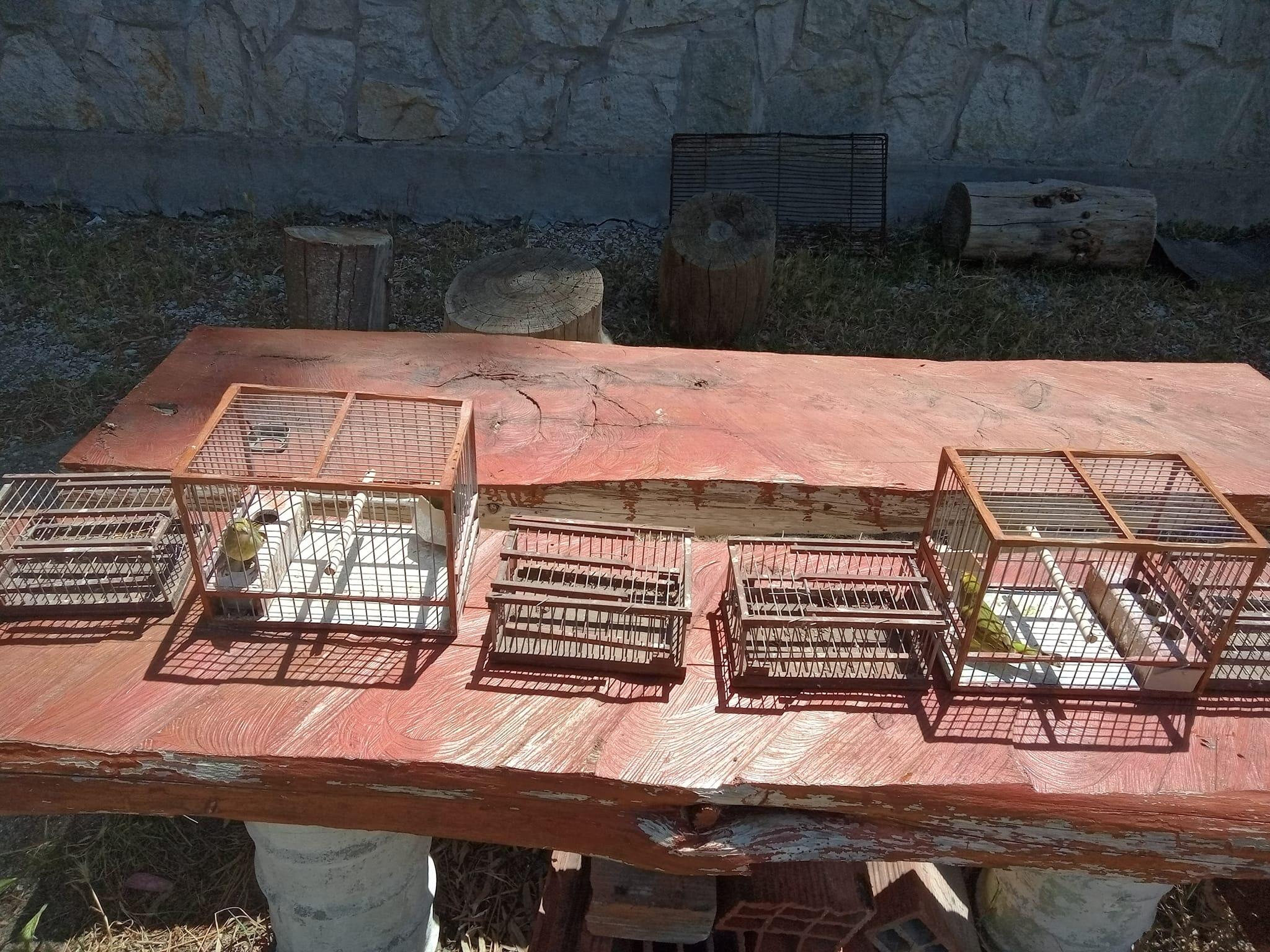 Guardaparques incautaron jaulas y tramperas que había en la Reserva de la Laguna