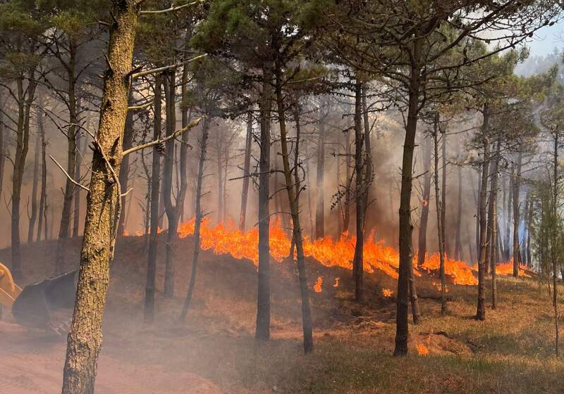 Las llamas afectaron más de 30 hectáreas en un sector lindero a un barrio privado de la zona norte de la localidad balnearia.