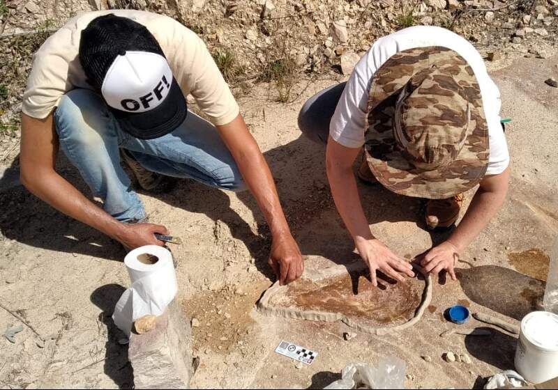 Un equipo de especialistas en paleontología y geología del CONICET halló más de 120 trazas fósiles en una cantera de roca cuarcita.