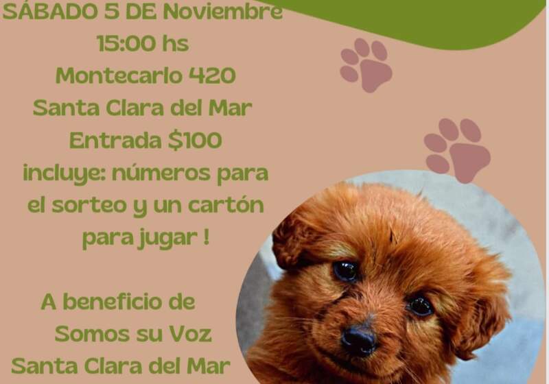 Será el sábado 5 de noviembre desde las 15 horas en la sede del Centro de Jubilados Renacer de Santa Clara.